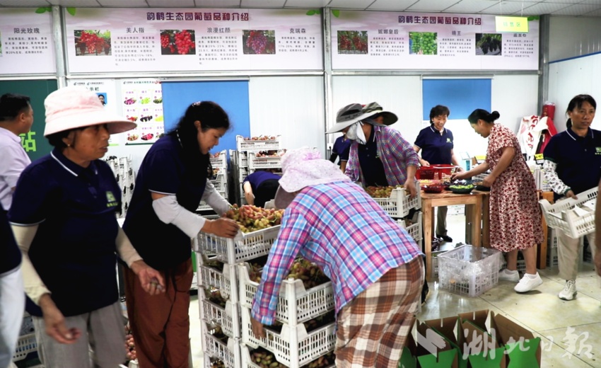 奇亿娱乐注册登录